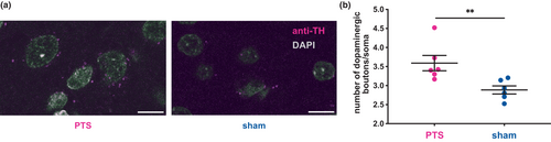 Details are in the caption following the image Details are in the caption following the image