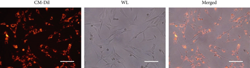 Details are in the caption following the image