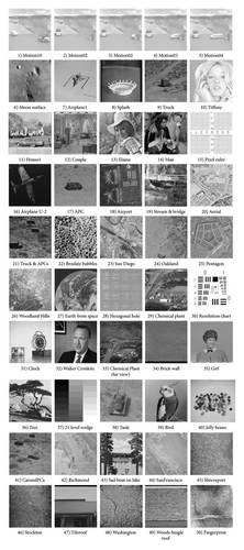 Details are in the caption following the image Details are in the caption following the image