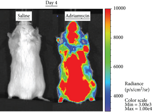 Details are in the caption following the image Details are in the caption following the image