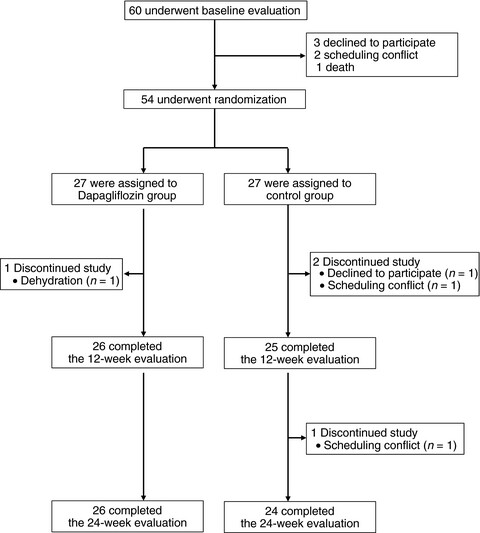 Effects of dapagliflozin on the serum levels of fibroblast growth factor 21 and myokines and muscle mass in Japanese patients with type 2 diabetes: A randomized, controlled trial
