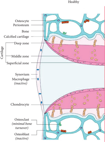 Details are in the caption following the image