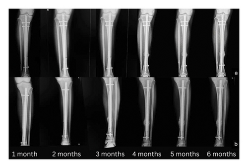 Details are in the caption following the image Details are in the caption following the image
