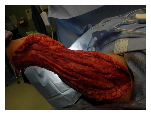Details are in the caption following the image Details are in the caption following the image