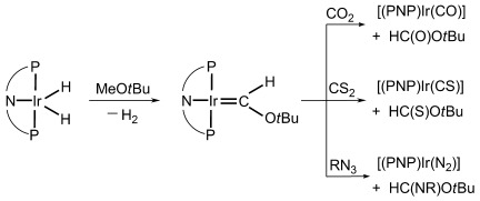 Carben-Übergangsmetallkomplexe durch zweifache C-H-Bindungsaktivierung