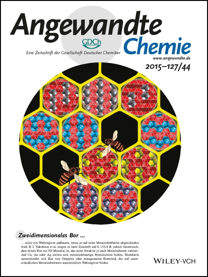 Innenrücktitelbild: Two-Dimensional Boron Monolayers Mediated by Metal Substrates (Angew. Chem. 44/2015)