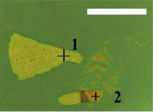 Details are in the caption following the image