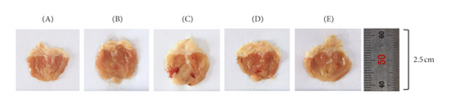 Details are in the caption following the image Details are in the caption following the image