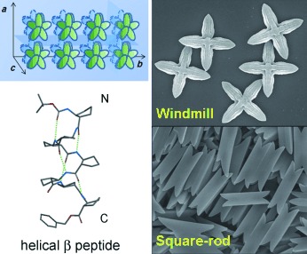 Unprecedented Molecular Architectures by the Controlled Self-Assembly of a β-Peptide Foldamer