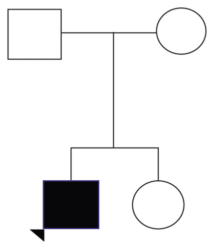Details are in the caption following the image