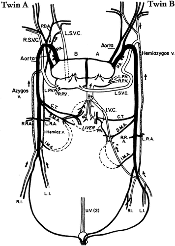 Details are in the caption following the image Details are in the caption following the image