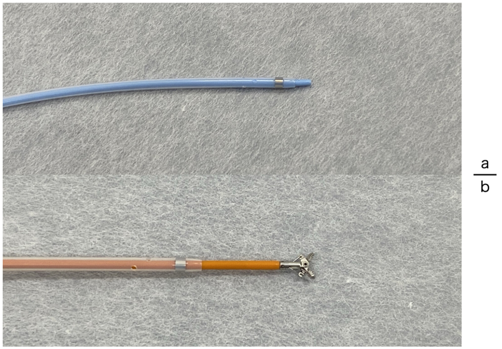 Endoscopic retrieval of a proximally migrated fully covered self-expandable metal stent using biopsy forceps with a guiding sheath cannula