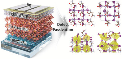 Morphology and Performance Enhancement through the Strong Passivation Effect of Amphoteric Ions in Tin-based Perovskite Solar Cells