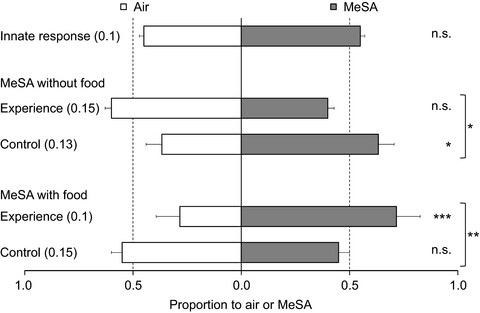 Associative learning in immature lacewings (Ceraeochrysa cubana)