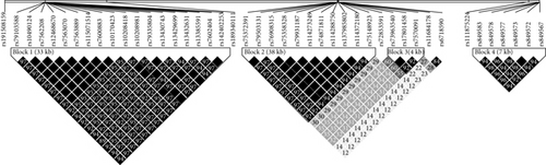 Details are in the caption following the image Details are in the caption following the image