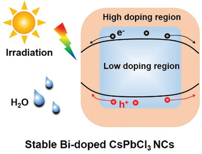 Stable Bismuth-Doped Lead Halide Perovskite Core-Shell Nanocrystals by Surface Segregation Effect