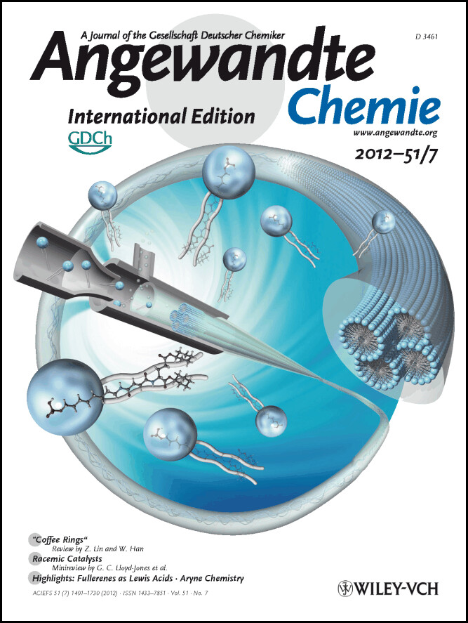 Cover Picture: Meter-Long and Robust Supramolecular Strands Encapsulated in Hydrogel Jackets (Angew. Chem. Int. Ed. 7/2012)