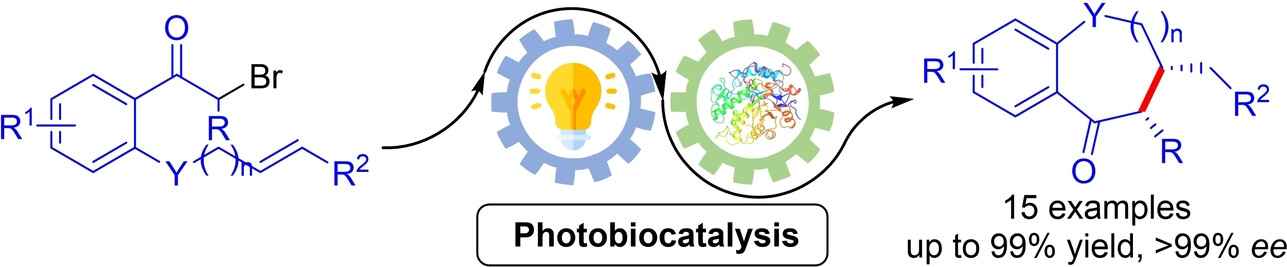 Photoenzymatic Enantioselective Synthesis of Oxygen-Containing Benzo-Fused Heterocycles