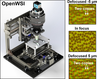 Autofocusing technologies for whole slide imaging and automated microscopy