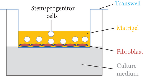 Details are in the caption following the image