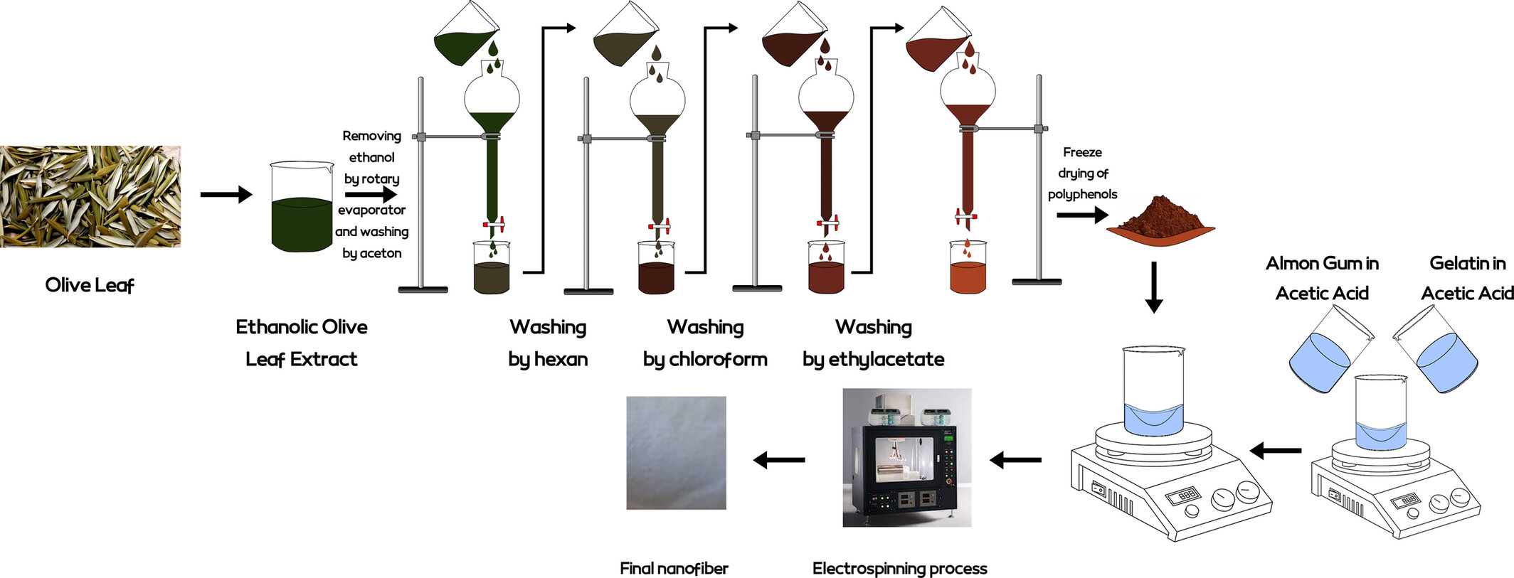 Fabrication and Characterization of Olive Leaf Polyphenols Loaded Sweet Almond Gum/Gelatin Electrospun Nanofiber