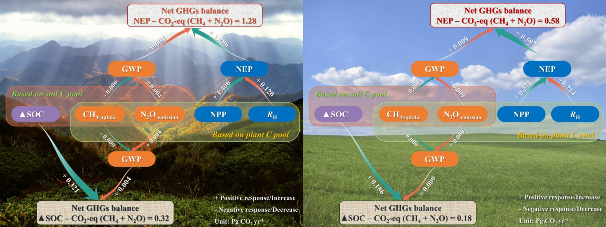 Enhanced CO2 uptake is marginally offset by altered fluxes of non-CO2 greenhouse gases in global forests and grasslands under N deposition