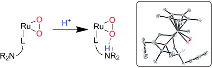 Directing Protons to the Dioxygen Ligand of a Ruthenium(II) Complex with Pendent Amines in the Second Coordination Sphere