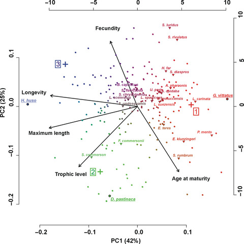 Trait-based life strategies, ecological niches, and niche overlap in the nekton of the data-poor Mediterranean Sea