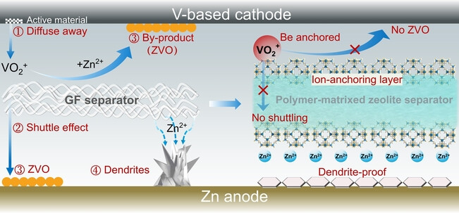 Preventing Dissolution of Cathode Active Materials by Ion-anchoring Zeolite-based Separators for Durable Aqueous Zinc Batteries**