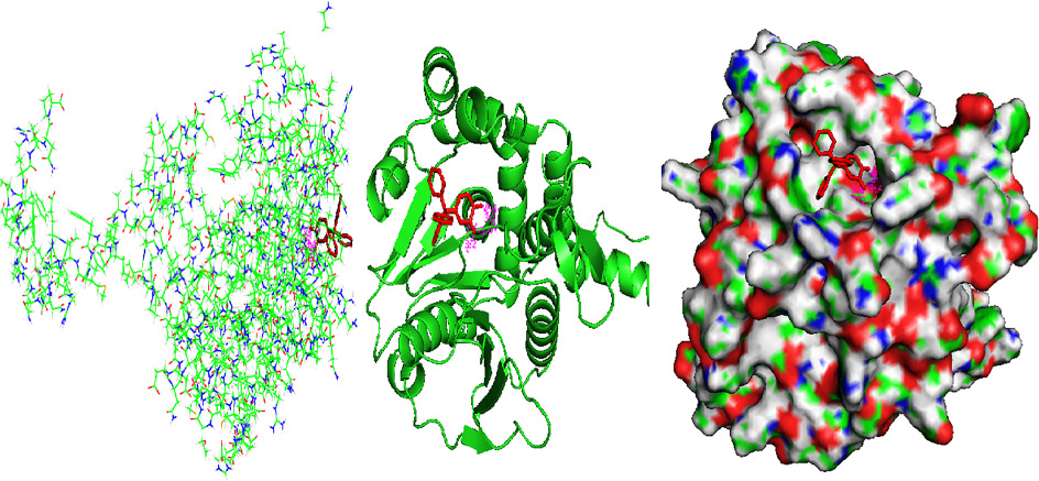 Structural, spectroscopic, molecular docking, thermal and DFT studies on metal complexes of bidentate orthoquinone ligand