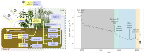 A new bioenergy model that simulates the impacts of plant-microbial interactions, soil carbon protection, and mechanistic tillage on soil carbon cycling