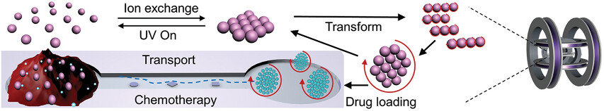 Weak Ion-Exchange Based Magnetic Swarm for Targeted Drug Delivery and Chemotherapy