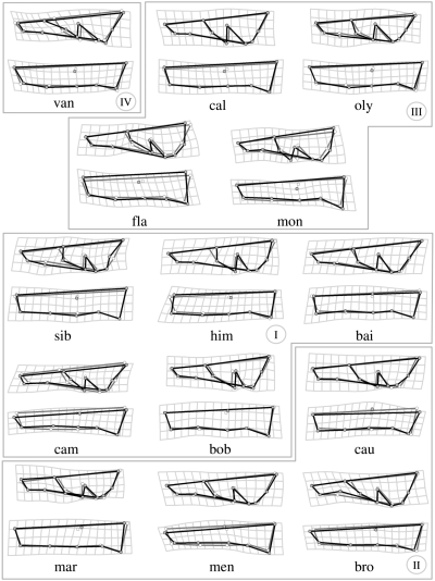 Details are in the caption following the image Details are in the caption following the image