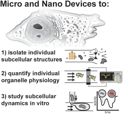 Micro- and Nano-Devices for Studying Subcellular Biology
