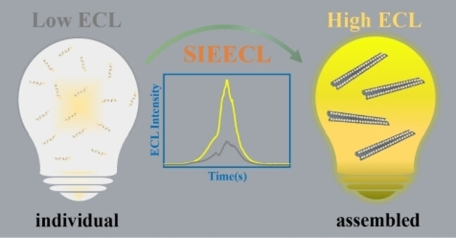Self-assembly Induced Enhanced Electrochemiluminescence of Copper Nanoclusters Using DNA Nanoribbon Templates