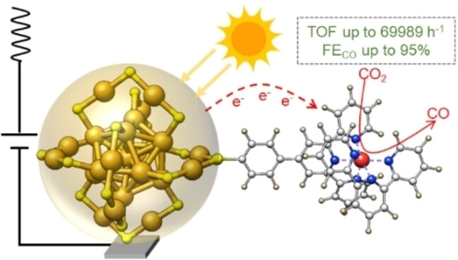 Anchoring of Metal Complexes on Au25 Nanocluster for Enhanced Photocoupled Electrocatalytic CO2 Reduction