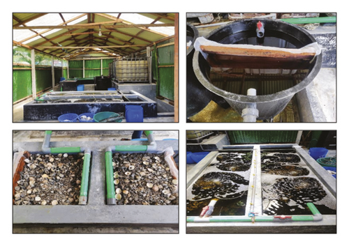 Details are in the caption following the image Details are in the caption following the image