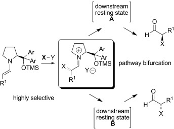 Rationalization of an Unusual Solvent-Induced Inversion of Enantiomeric Excess in Organocatalytic Selenylation of Aldehydes