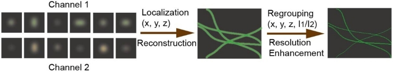 High-Precision Mapping of Membrane Proteins on Synaptic Vesicles using Spectrally Encoded Super-Resolution Imaging