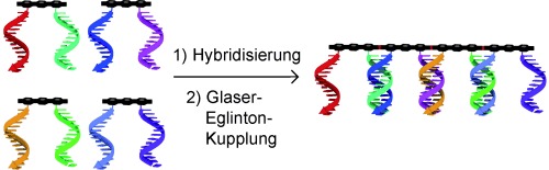 DNA-Programmed Glaser–Eglinton Reactions for the Synthesis of Conjugated Molecular Wires