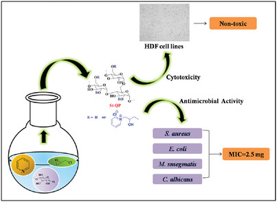 Synthesis and Characterization of Functionalized Starch by Grafting Pyridine for Use in Antimicrobial Applications