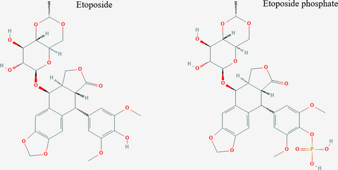 Severe hypersensitivity reaction to etoposide phosphate: A case report