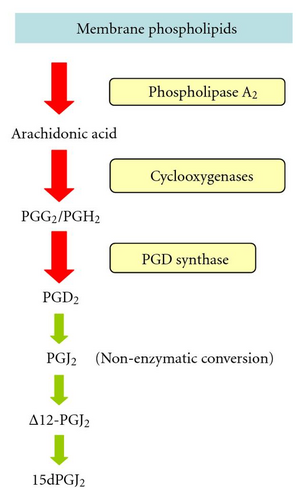 Details are in the caption following the image