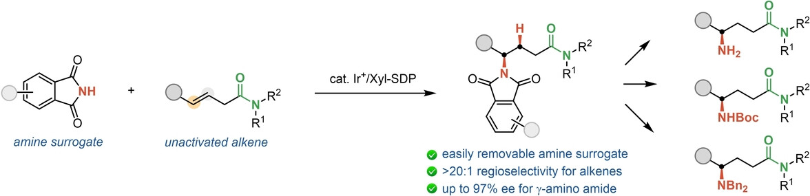 Synthesis of γ-Amino Amides by Iridium-Catalyzed Enantioselective Hydroamination of Internal Alkenes Directed by an Amide