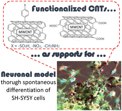 Organic Functional Group on Carbon Nanotube Modulates the Maturation of SH-SY5Y Neuronal Models