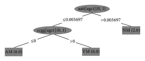 Details are in the caption following the image