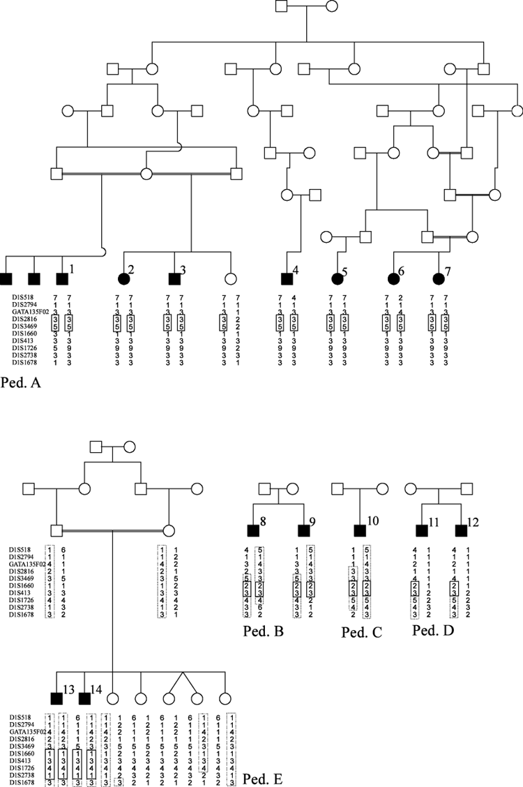Details are in the caption following the image Details are in the caption following the image