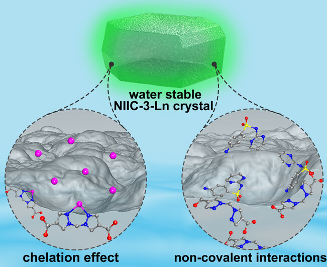 Experimental and Theoretical Elucidation of the Luminescence Quenching Mechanism in Highly Efficient Hg2+ and Sulfadiazine Sensing by Ln-MOF