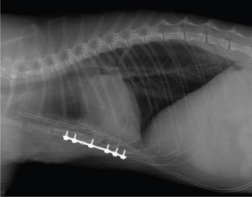 Details are in the caption following the image
