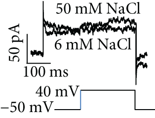 Details are in the caption following the image